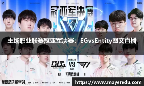 主场职业联赛冠亚军决赛：EGvsEntity图文直播