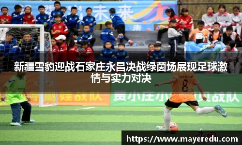 新疆雪豹迎战石家庄永昌决战绿茵场展现足球激情与实力对决