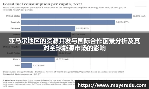 亚马尔地区的资源开发与国际合作前景分析及其对全球能源市场的影响